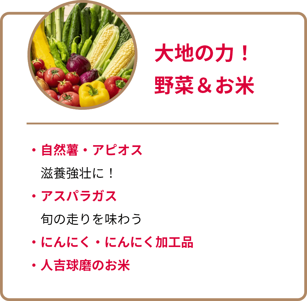 大地の力！野菜＆お米。自然薯・アピオス、滋養強壮に！。アスパラガス、旬の走りを味わう。にんにく・にんにく加工品。人吉球磨のお米。
